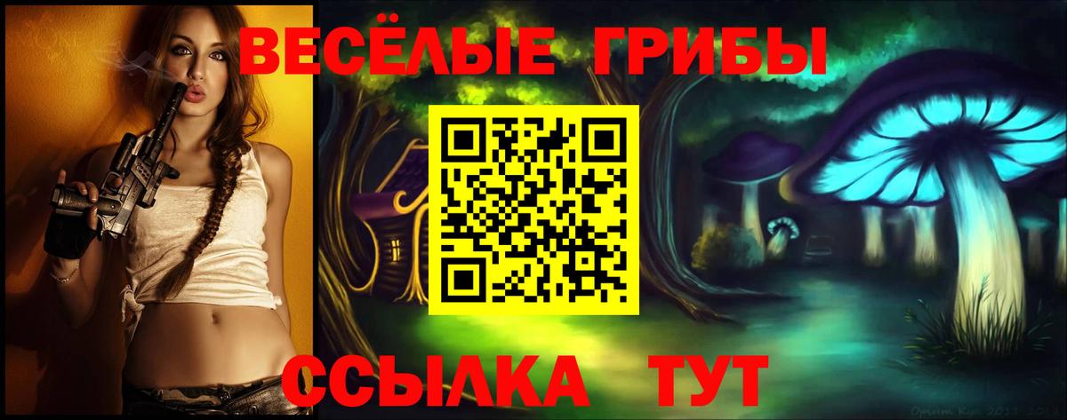 Псилоцибиновые грибы мицелий Изобильный