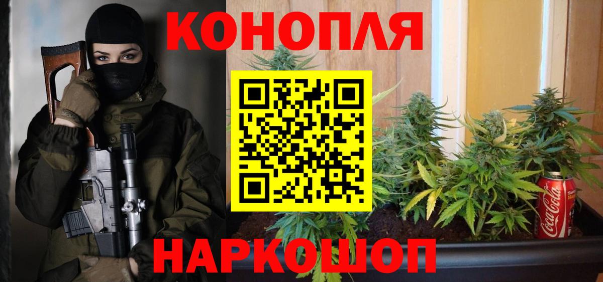 МАРИХУАНА план Изобильный